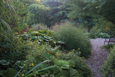 In the Brine Garden: Gravel pathways wind through densely planted areas.