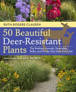 50 Beautiful Deer Resistant Plants