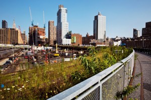 Highline image by Todd Heisler for the NYTimes