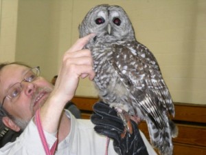 Dover Earth Day Owl