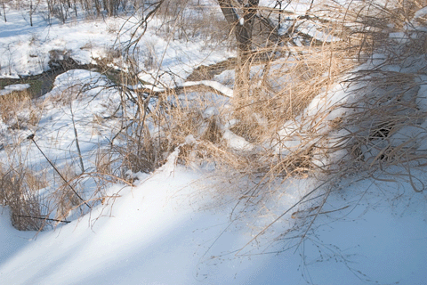 Brine Garden Stream in Snow 